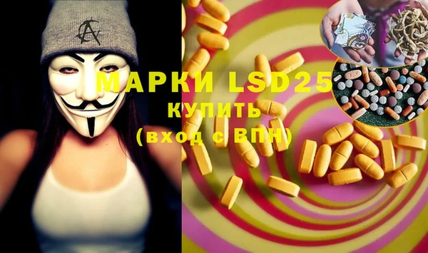 эйфоретик Аркадак