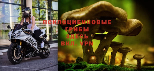 метадон Арсеньев