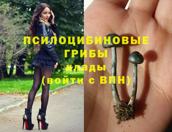 эйфоретик Аркадак
