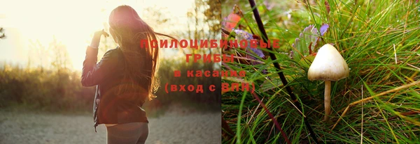 метадон Арсеньев