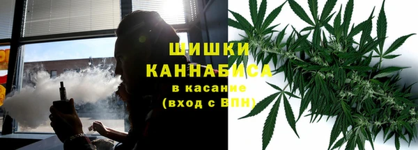 эйфоретик Аркадак