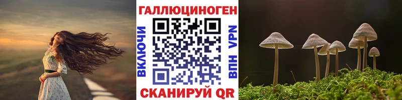 наркотики  Снежногорск  Псилоцибиновые грибы мухоморы 